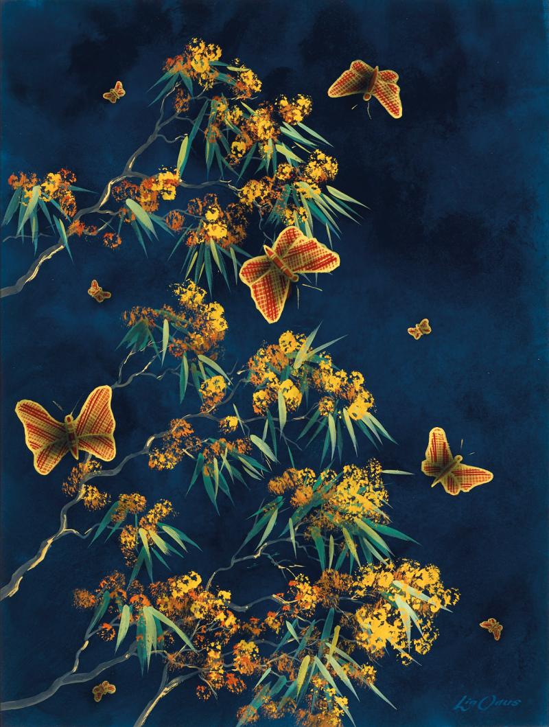 LIN ONUS - Butterflies and Wattle
