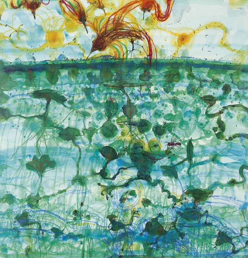 JOHN OLSEN - Sunbirds and Lily Pond